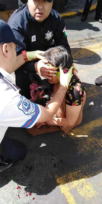 Un policía y un civil resultan lesionados por la estampida de caballos de la policia