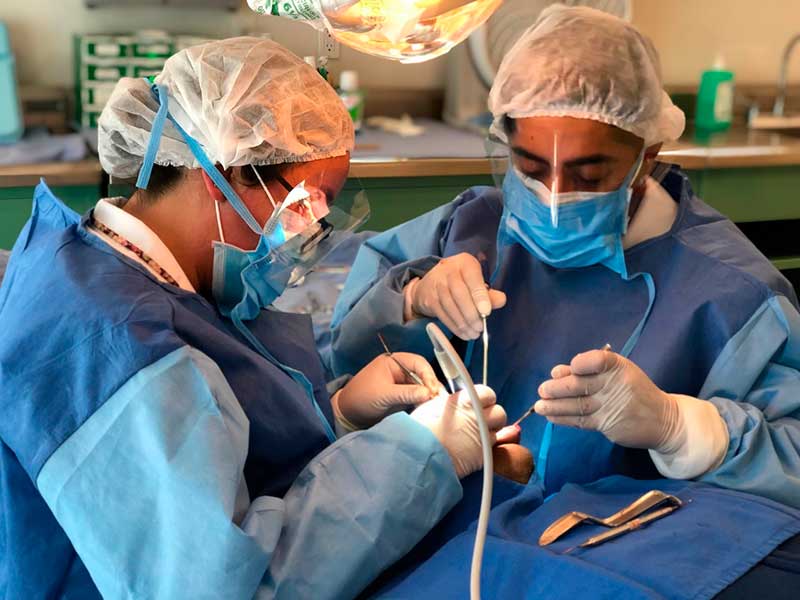 El Issemym ofrece técnicas quirúrgicas para corregir labio fisurado y paladar hendido