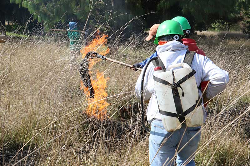 Brigada forestal de Toluca previene y combate incendios