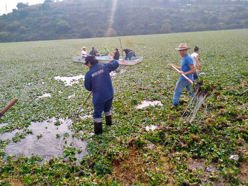 CAEM participa en la limpieza de la presa Madín