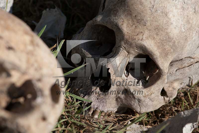 Encuentran un cráneo y otros huesos en Metepec