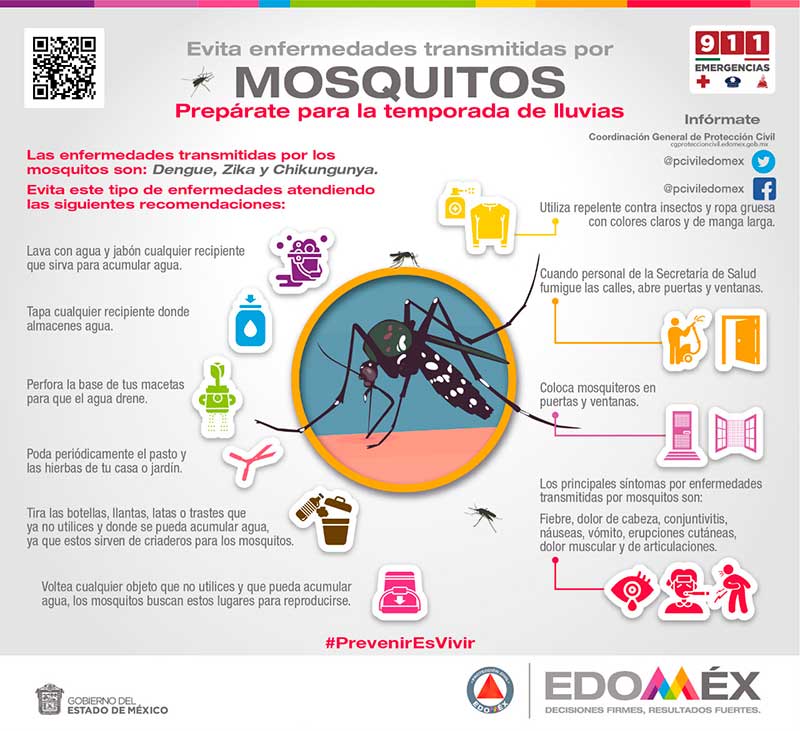 Emiten recomendaciones para evitar enfermedades por picadura de mosquitos