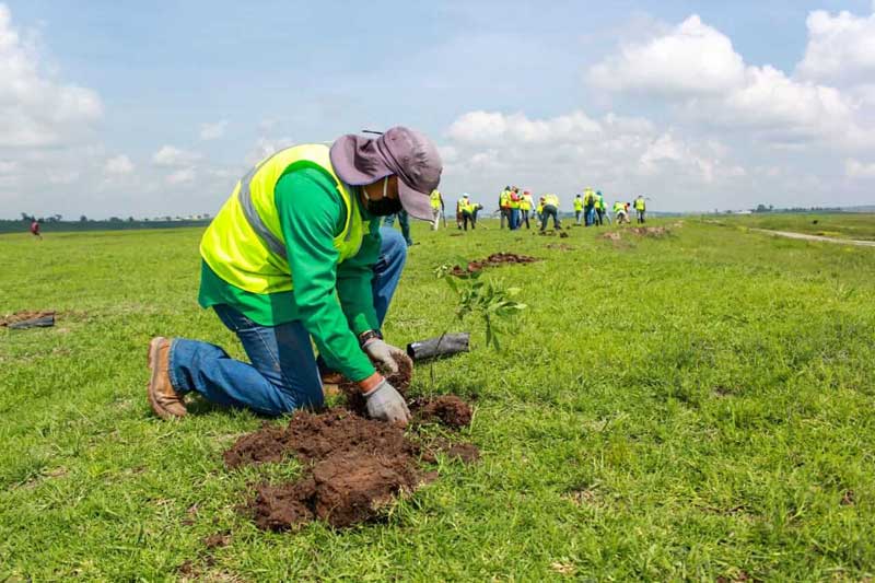 Intensifica Toluca trabajos de reforestación y forestación