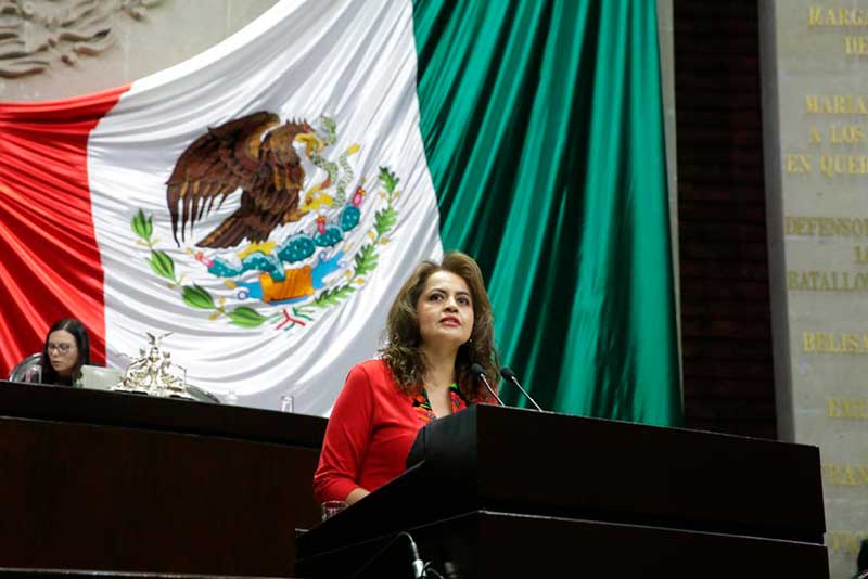 Debemos dar la batalla para rescatar el Fondo Metropolitano: Ana Lilia Herrera
