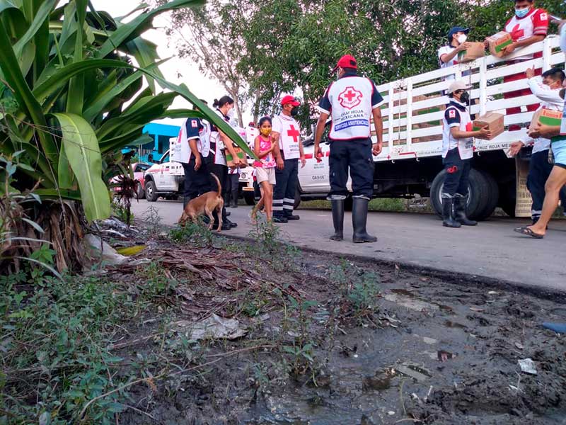 Voluntarios de Cruz Roja Edomex distribuyeron más de 2 mil despensas en ...