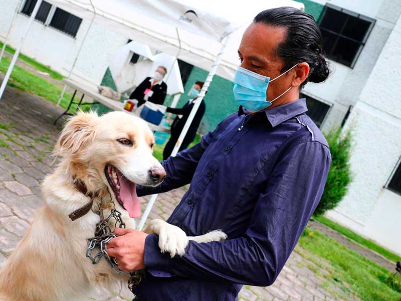 Edomex es líder nacional en vacunación antirrábica a mascotas