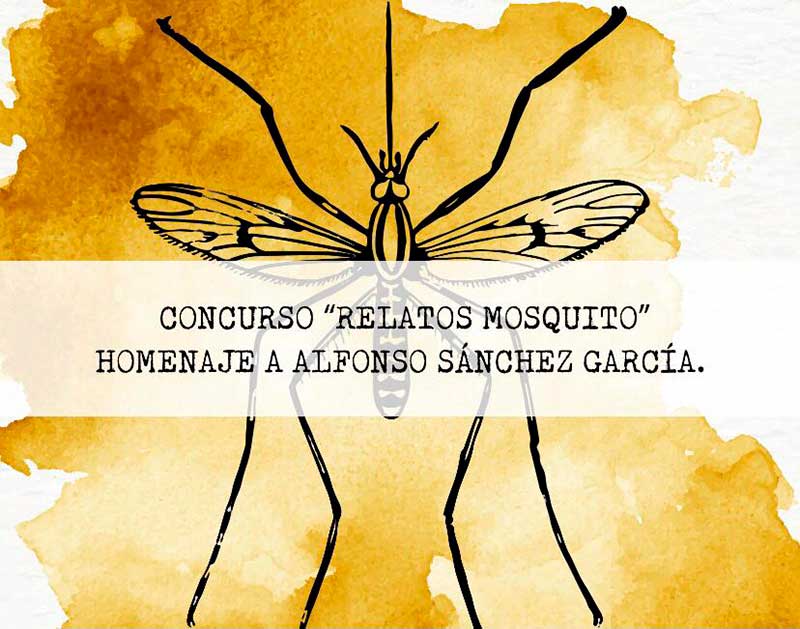 Convoca Toluca a participar en el concurso «Relatos Mosquito»
