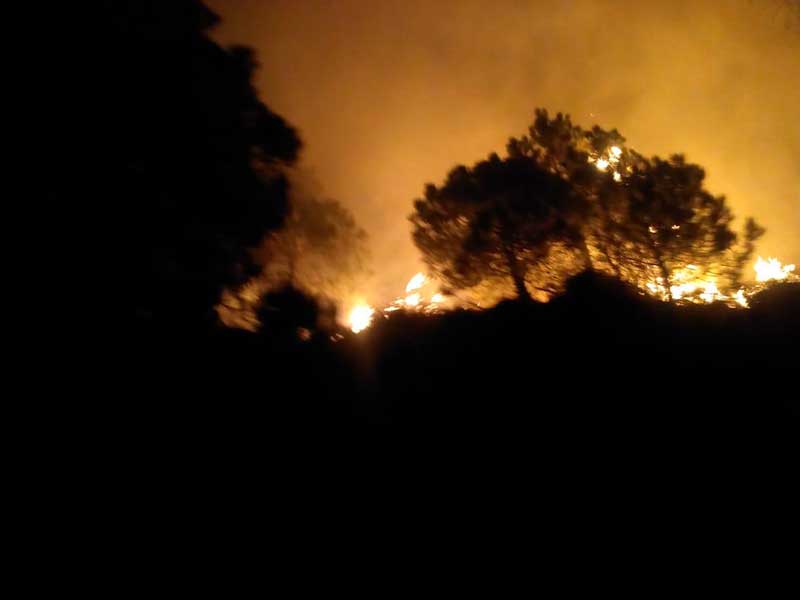 Atiende Probosque incendio en Jocotitlán