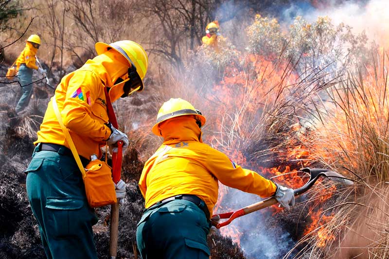 Sofocan 74 incendios forestales en Edoméx en lo que va del año
