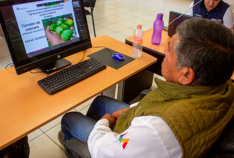 Ofrecen investigadores del Icamex cursos de cultivos en línea