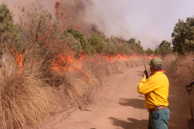 Atiende Probosque 447 incendios en lo que va de 2021