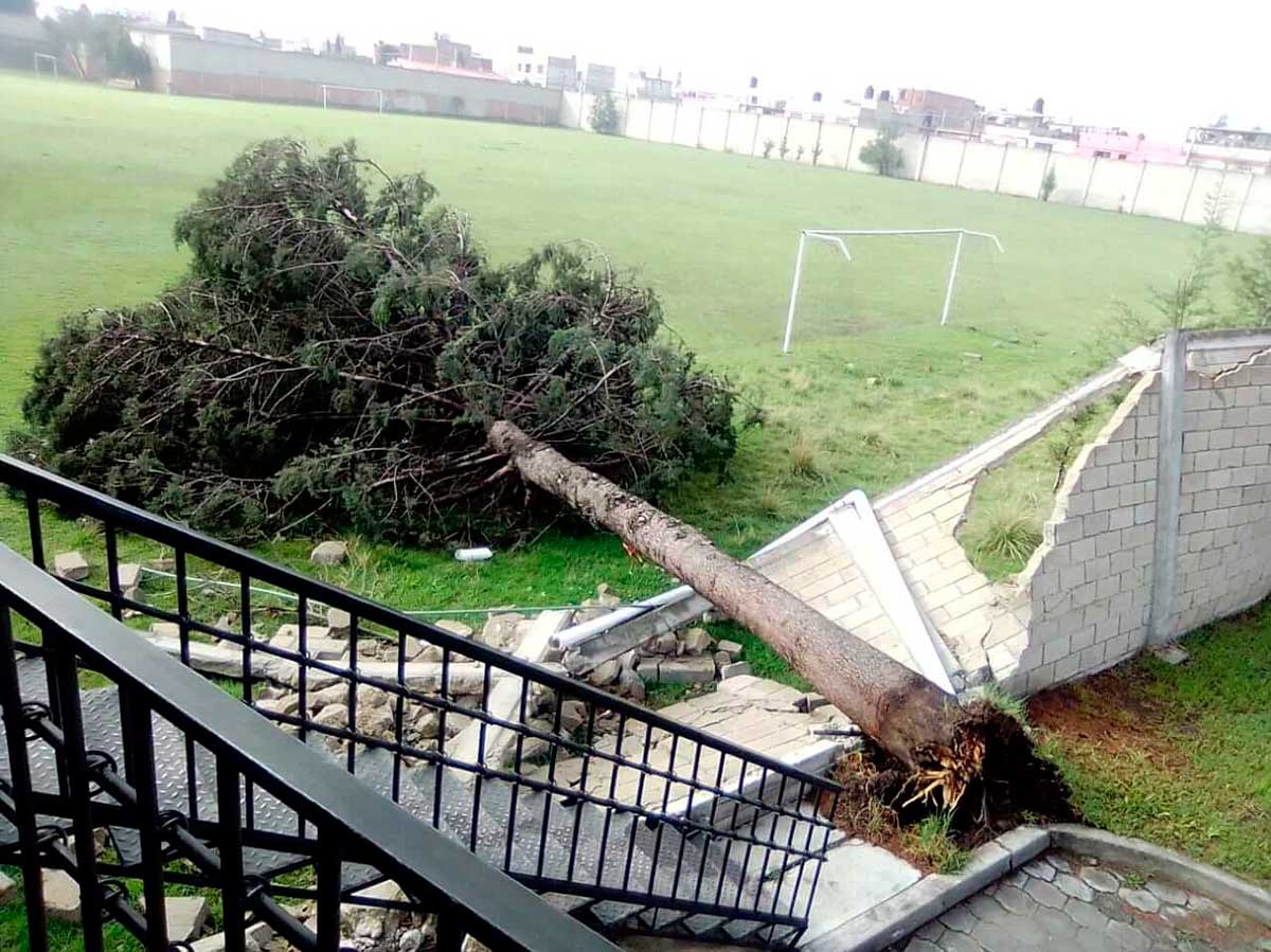 Retira PC y Bomberos árboles caídos por intensa lluvia