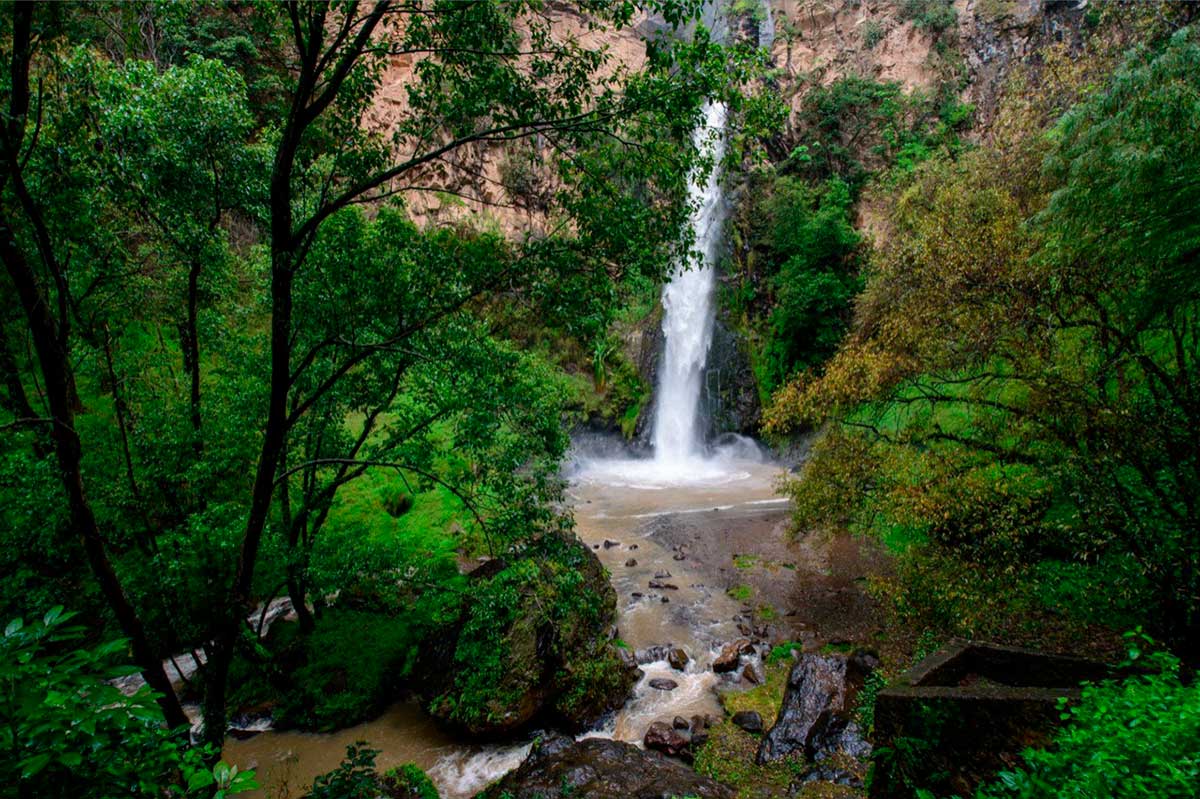 Retoman parques, áreas naturales protegidas y zoológicos actividades al 70 por ciento de aforo