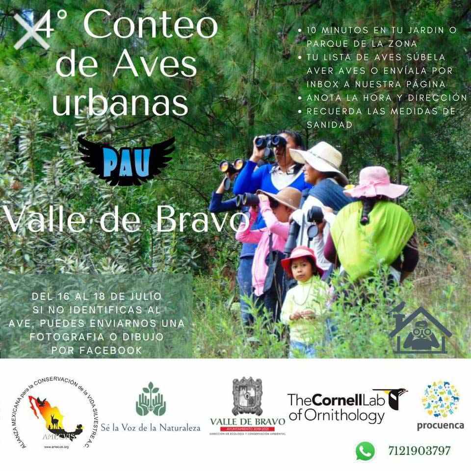 Cuarto Conteo Aves Urbanas