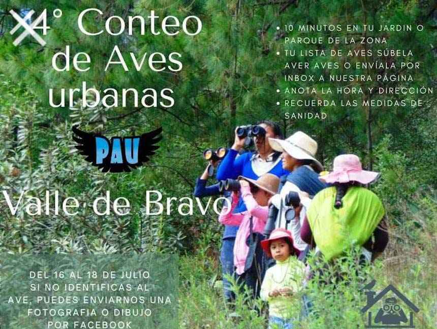 ¿Eres amante de la naturaleza y te gusta observar aves?  Participa en el 4° Conteo de Aves Urbanas