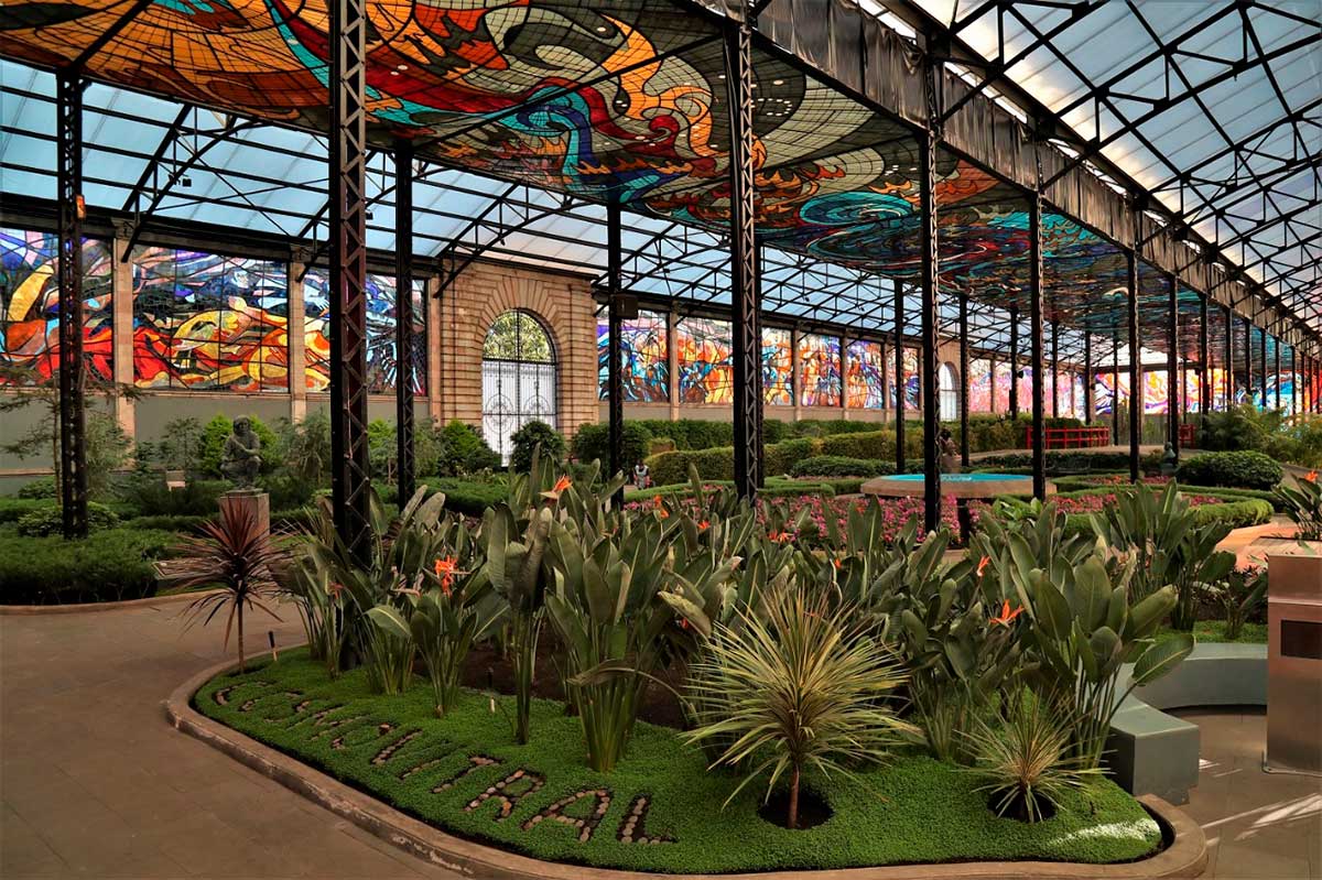 41 Aniversario del Cosmovitral