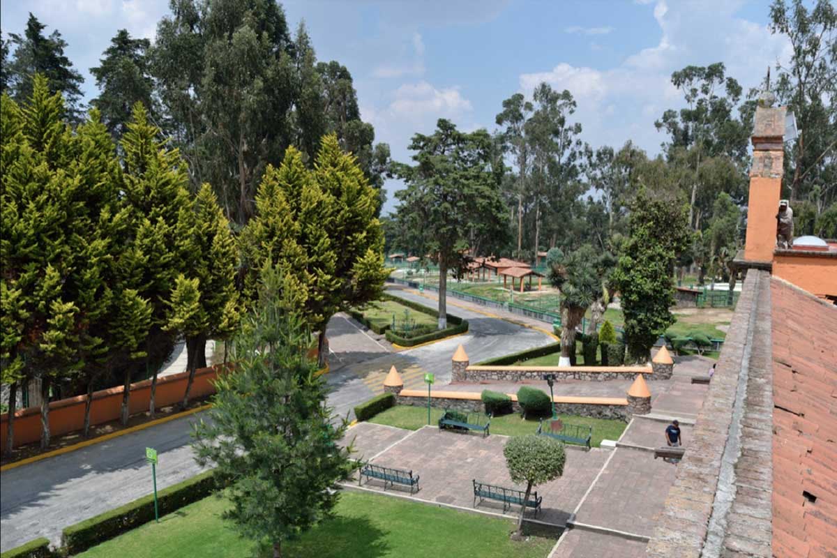 Dan mantenimiento al arbolado en Parque Ecológico "Zacango"
