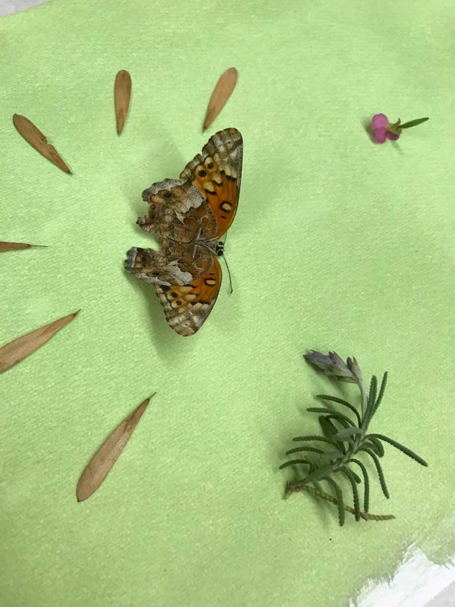 Invitan a público infantil a participar en el taller de foto en el Museo - Casa Toluca 1920