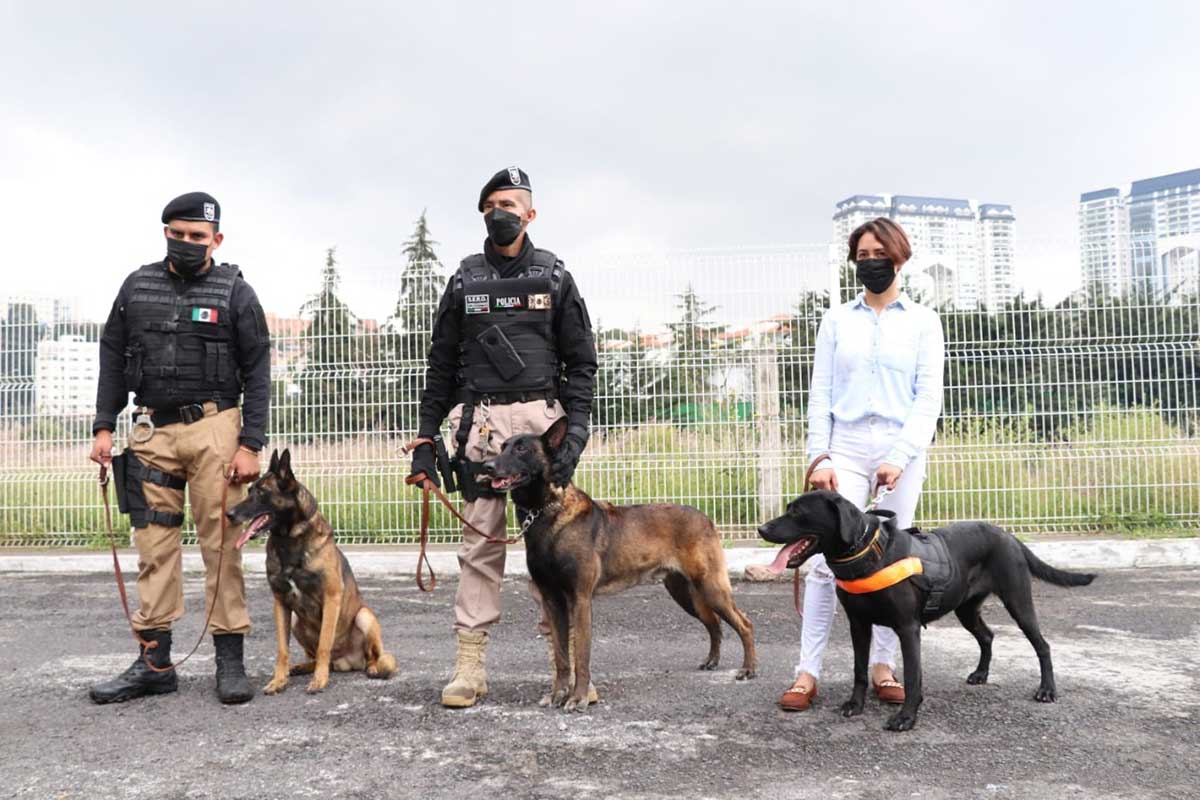 Huixquilucan tiene una de las Unidades Caninas más grandes del Edoméx