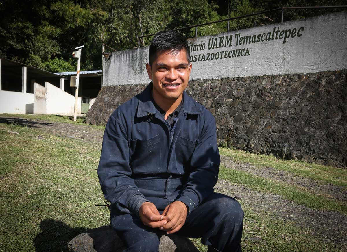 Experto de la UAEM propone usar el ajo para liberar a la avicultura de los antibióticos