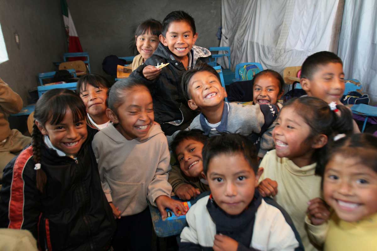 SIGED, boleta de calificaciones