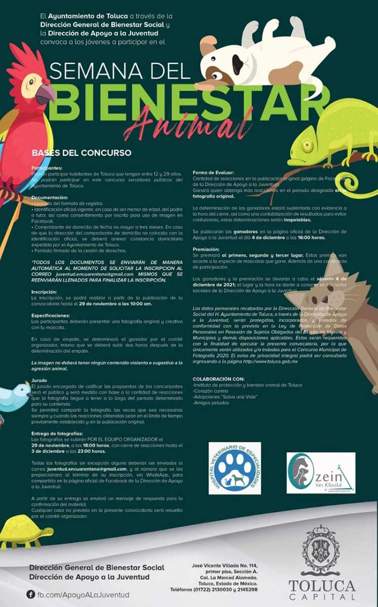 Toluca te invita al Concurso de Fotografía "Semana del Bienestar Animal"