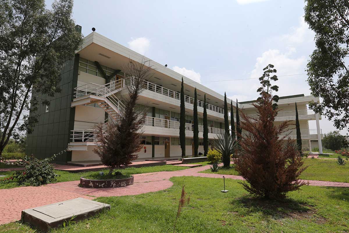 SARS-CoV-2 | Pandemia conllevó una afectación seria de salud mental