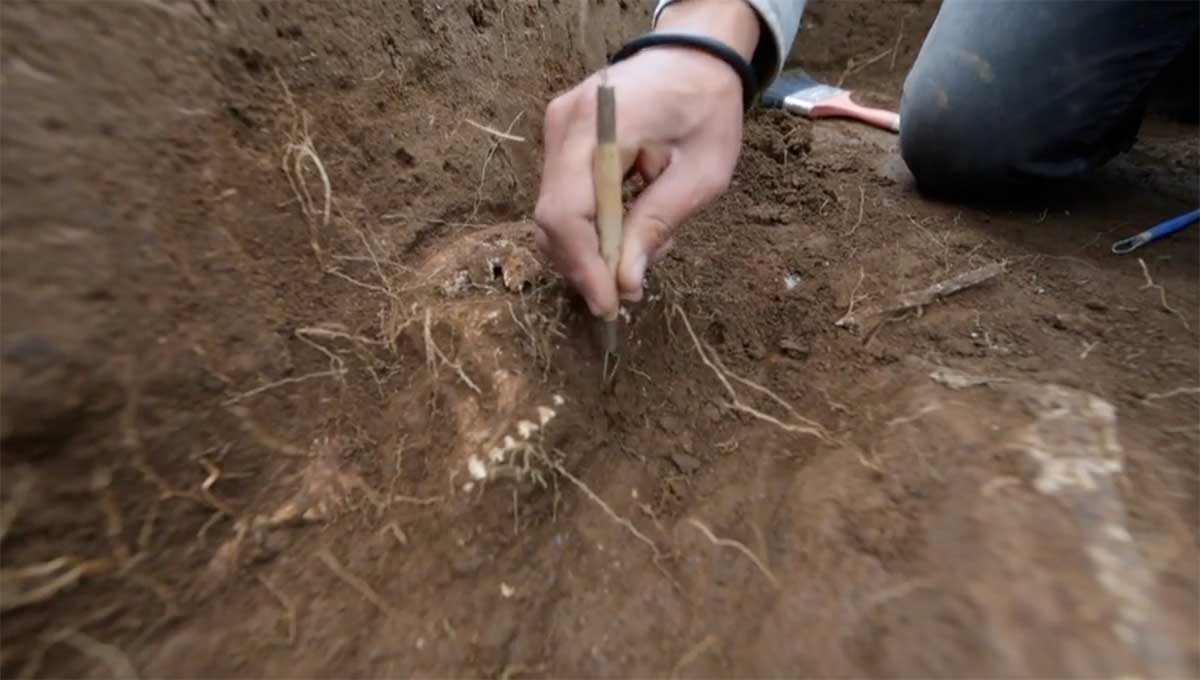 Arqueólogos de la UAEM participan en la construcción del Museo del Mamut en Santa Lucía