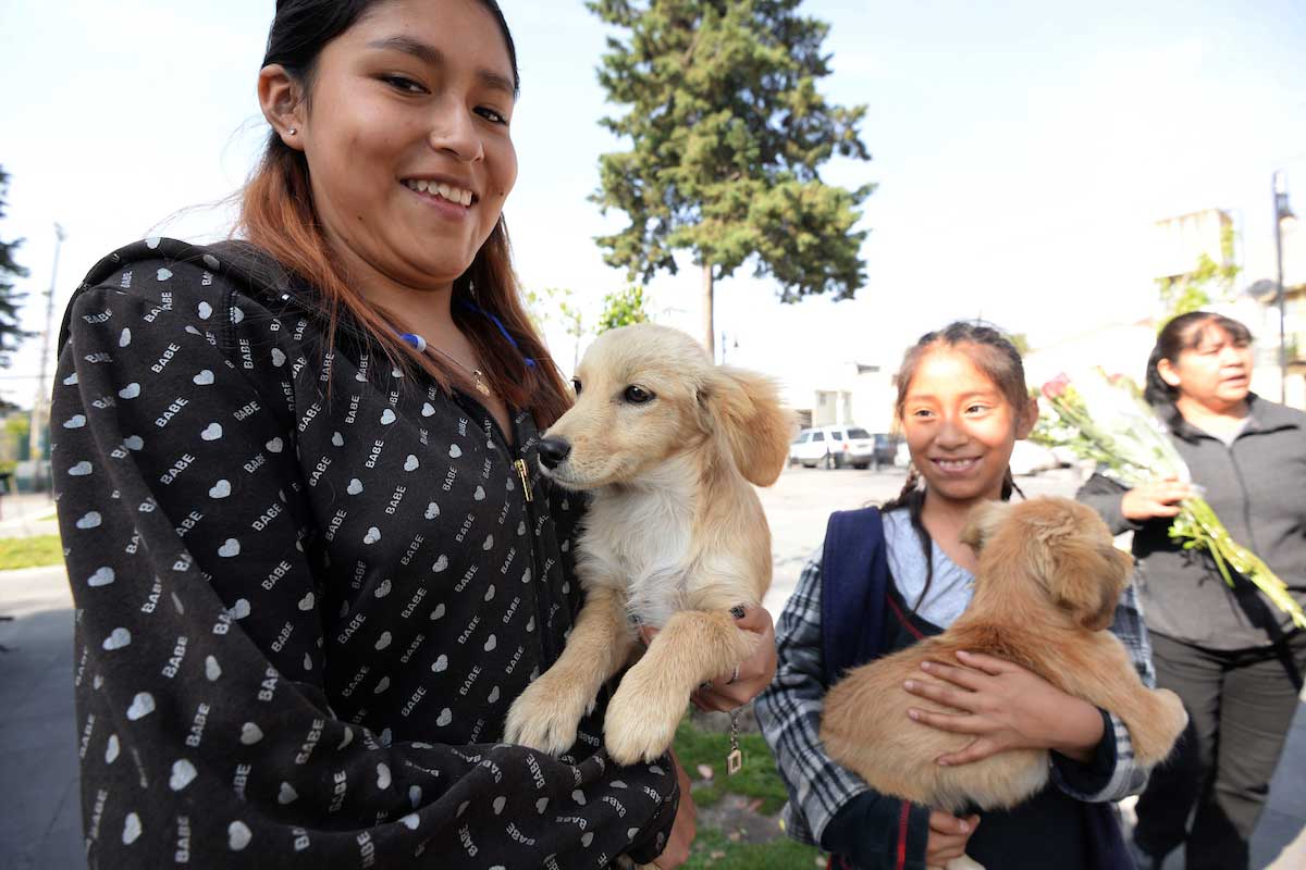 San Mateo Atenco anuncia Jornada de Esterilización de Animales de Compañía