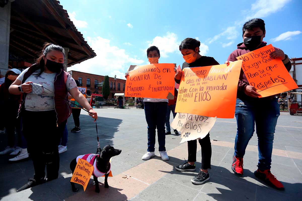 Condenan envenenamiento masivo de perros en Tianguistenco