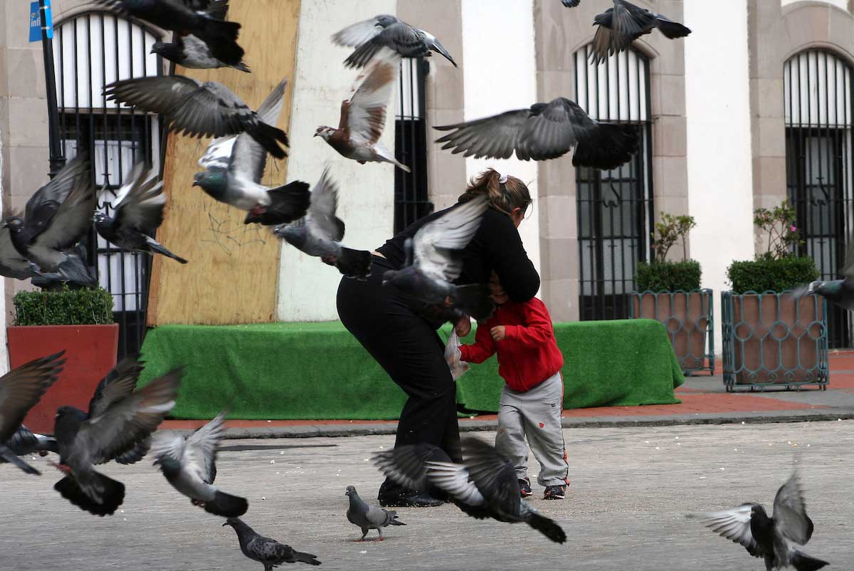Mujer jugando con su hijo en el centro de Toluca con palomas volando en primer plano