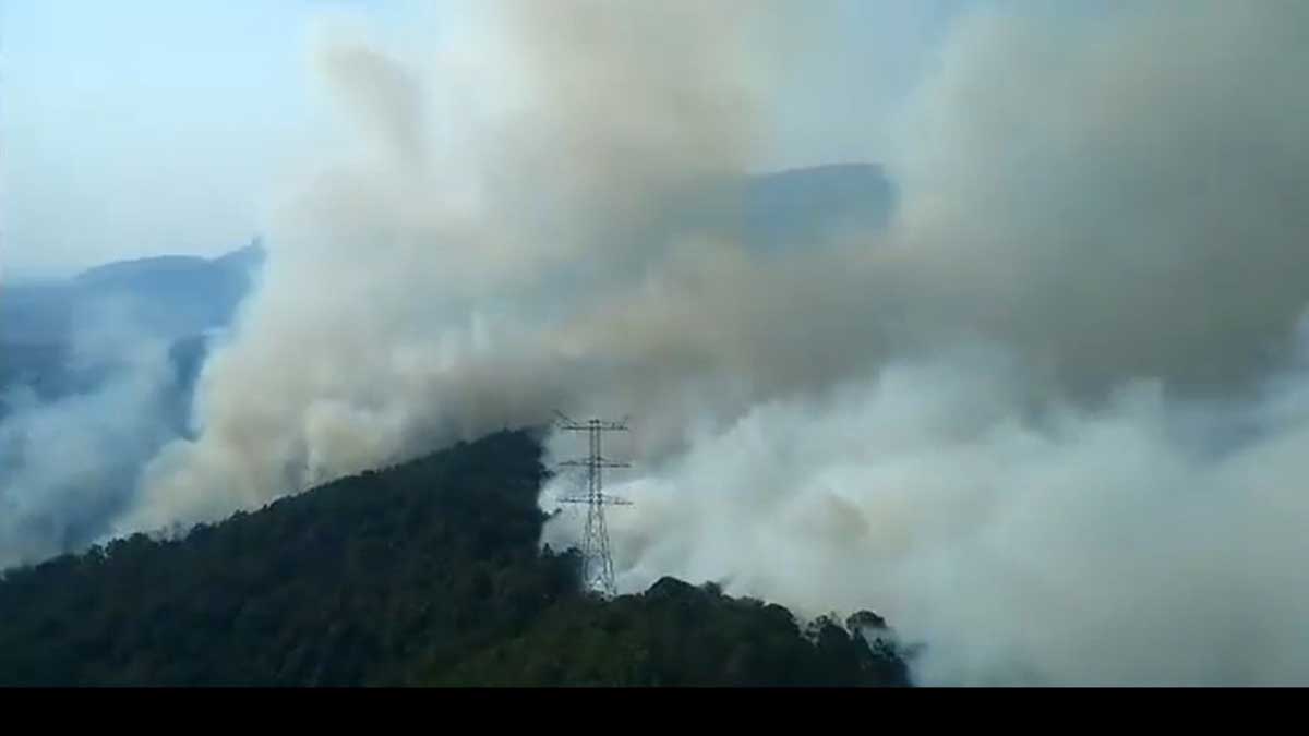 Incendio consume cientos de hectáreas de bosque en Tejupilco