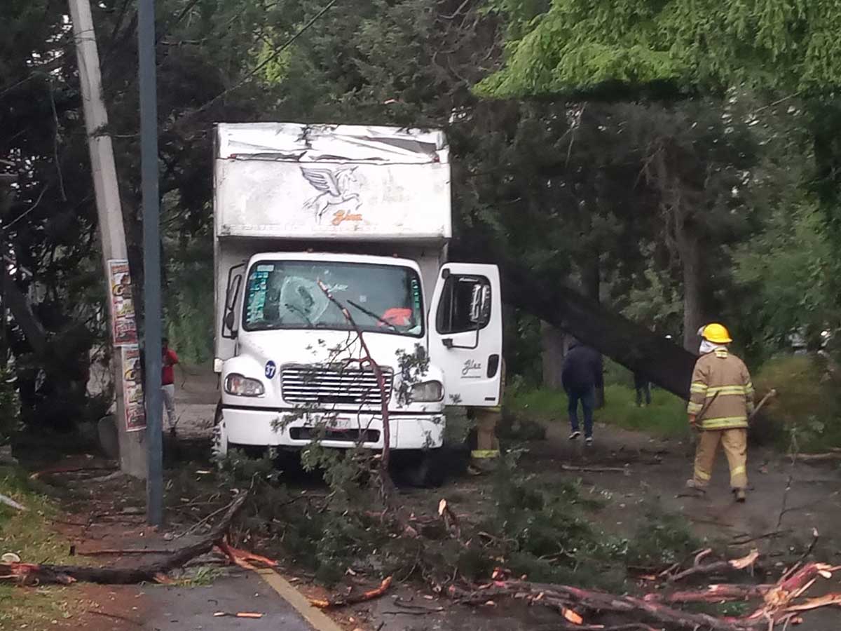 Retiran árboles que cayeron sobre Paseo Tollocan, en San Mateo Atenco
