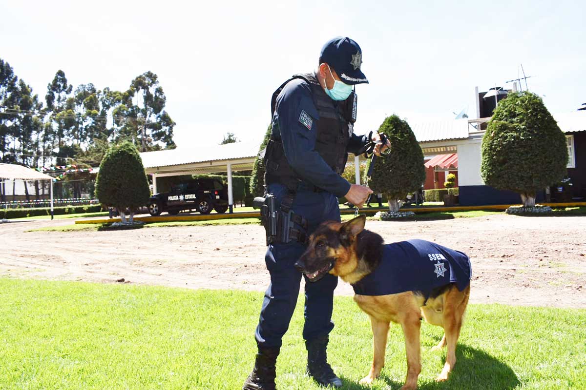 Buscan recursos para el retiro de perros policía