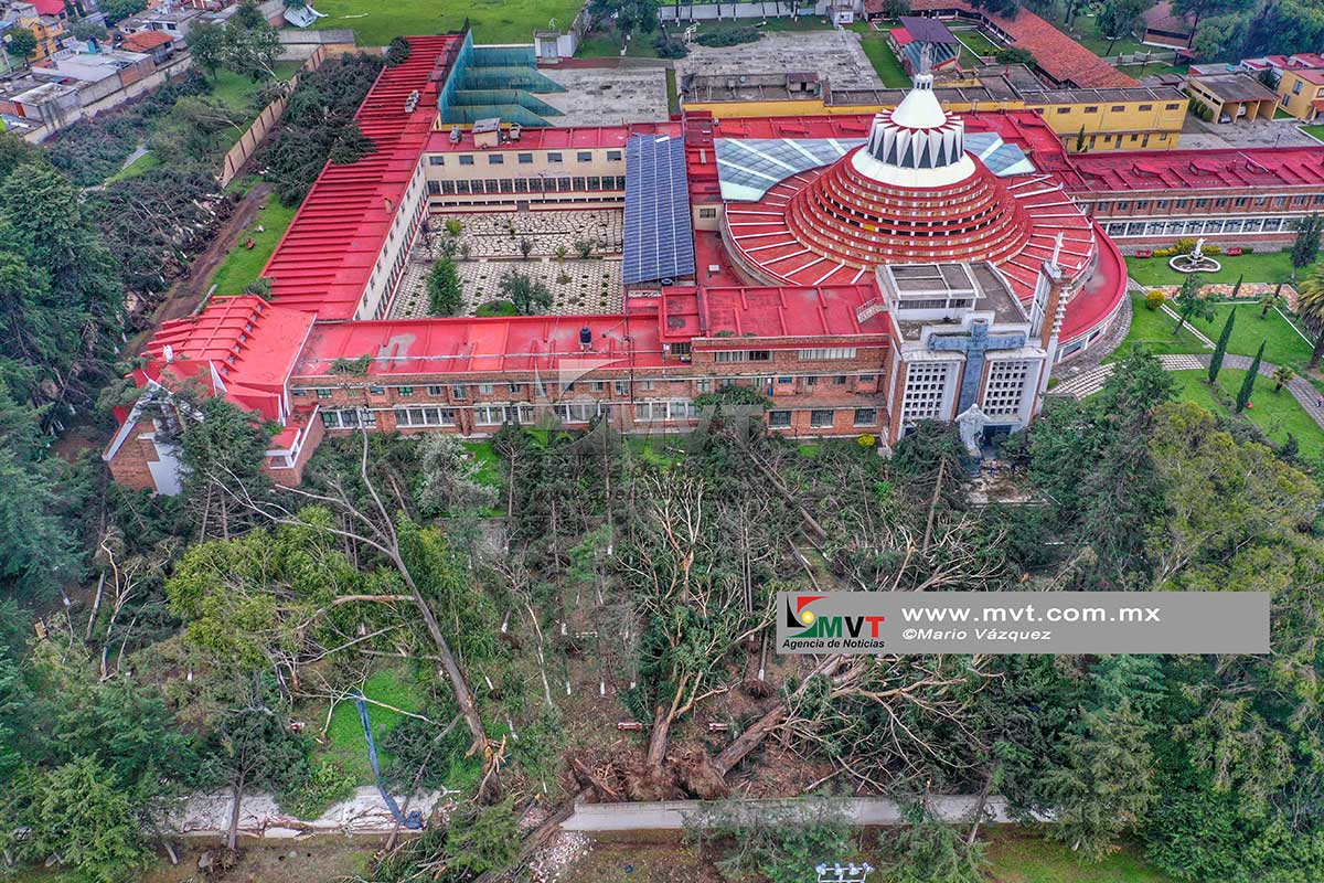 Ráfagas de viento y granizo derribaron 156 árboles en el Seminario Toluca