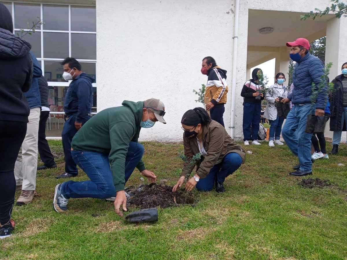 Continúa UAEMéx reforestación en sus espacios académicos
