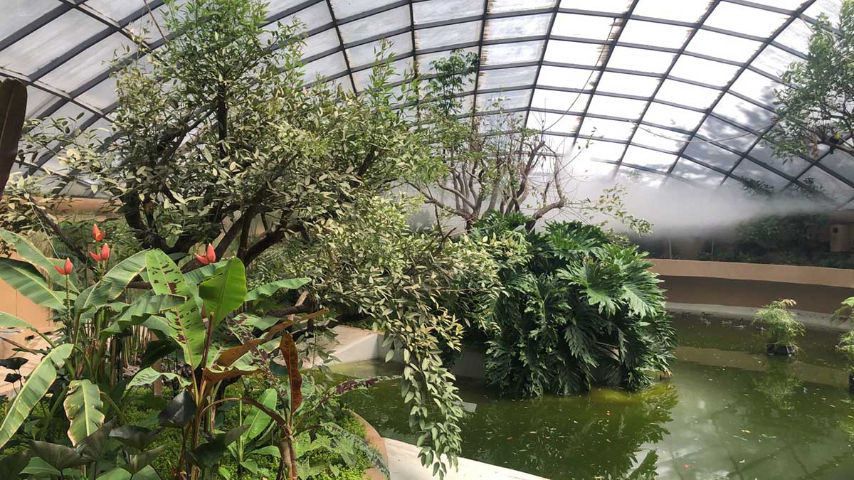 Nueva área de selva en el Zoológico de Zacango