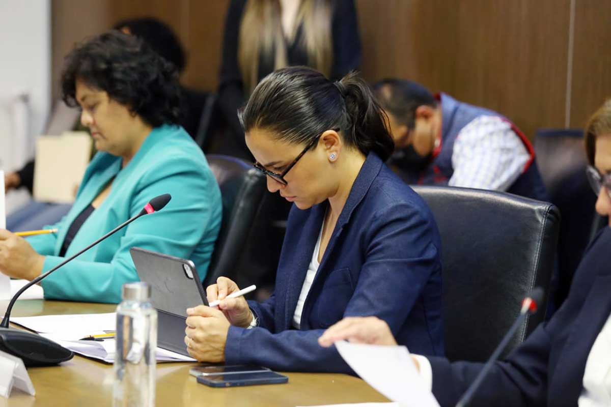 Diputada Paola Jiménez Hernández
