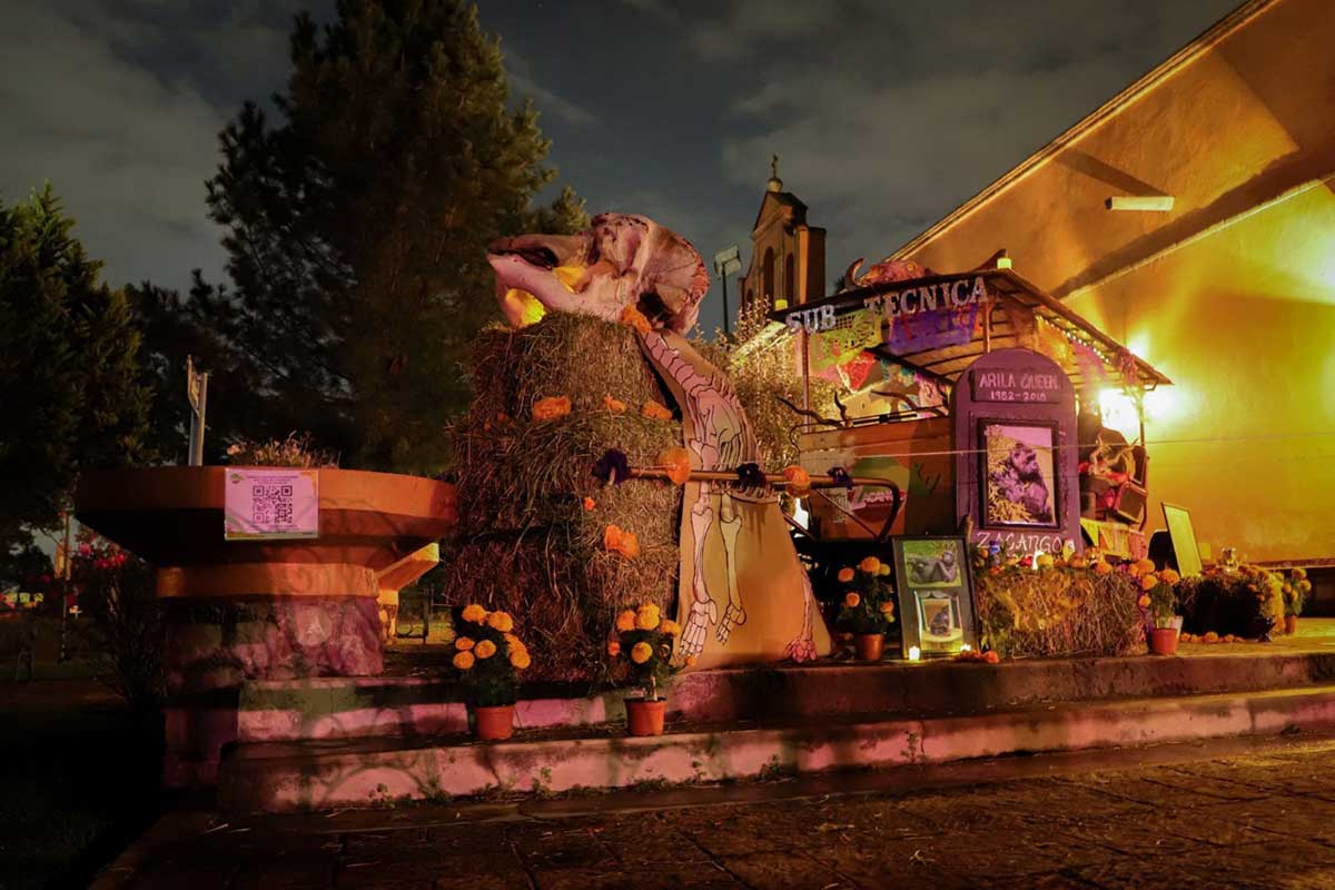 Alistan recorrido nocturno en Parque Ecológico Zacango