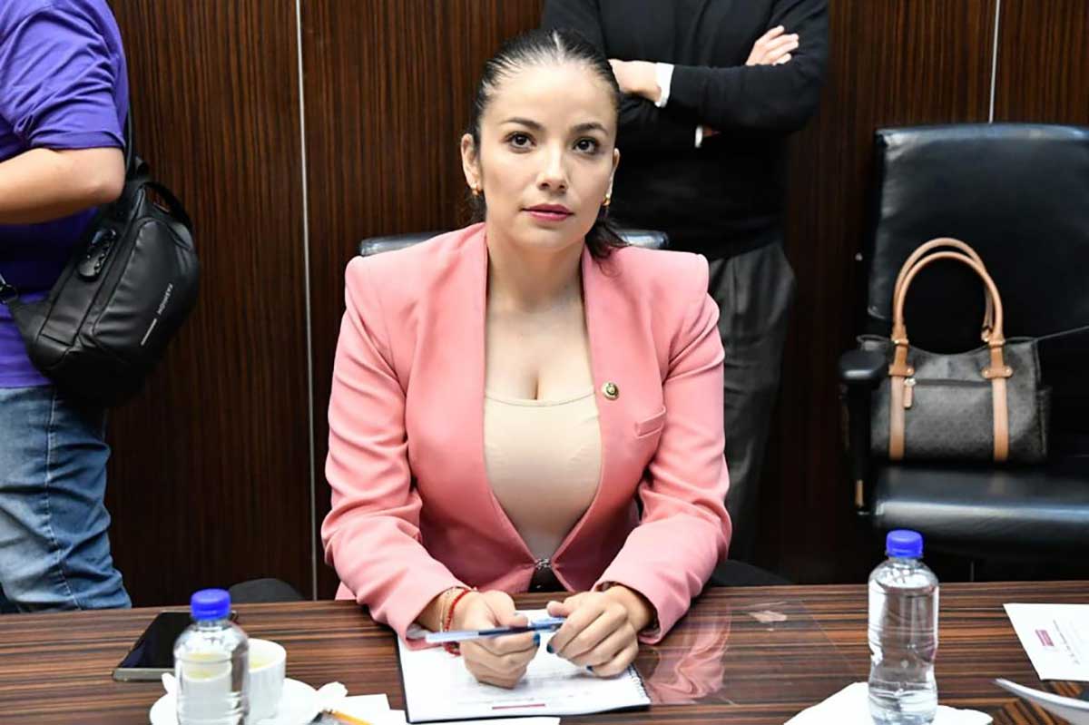 diputada Ana Karen Guadarrama Santamaría propone crear catálogo integral de servicios