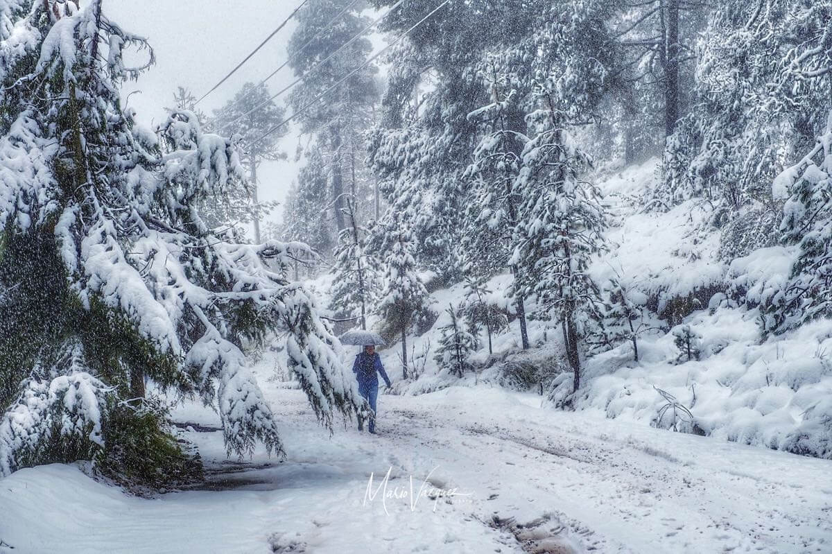 Se registra la primera nevada de invierno en el Volcán Xinantécatl