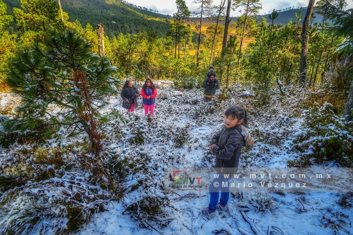 Cientos de turistas disfrutan de la nieve en las zonas altas de Temoaya