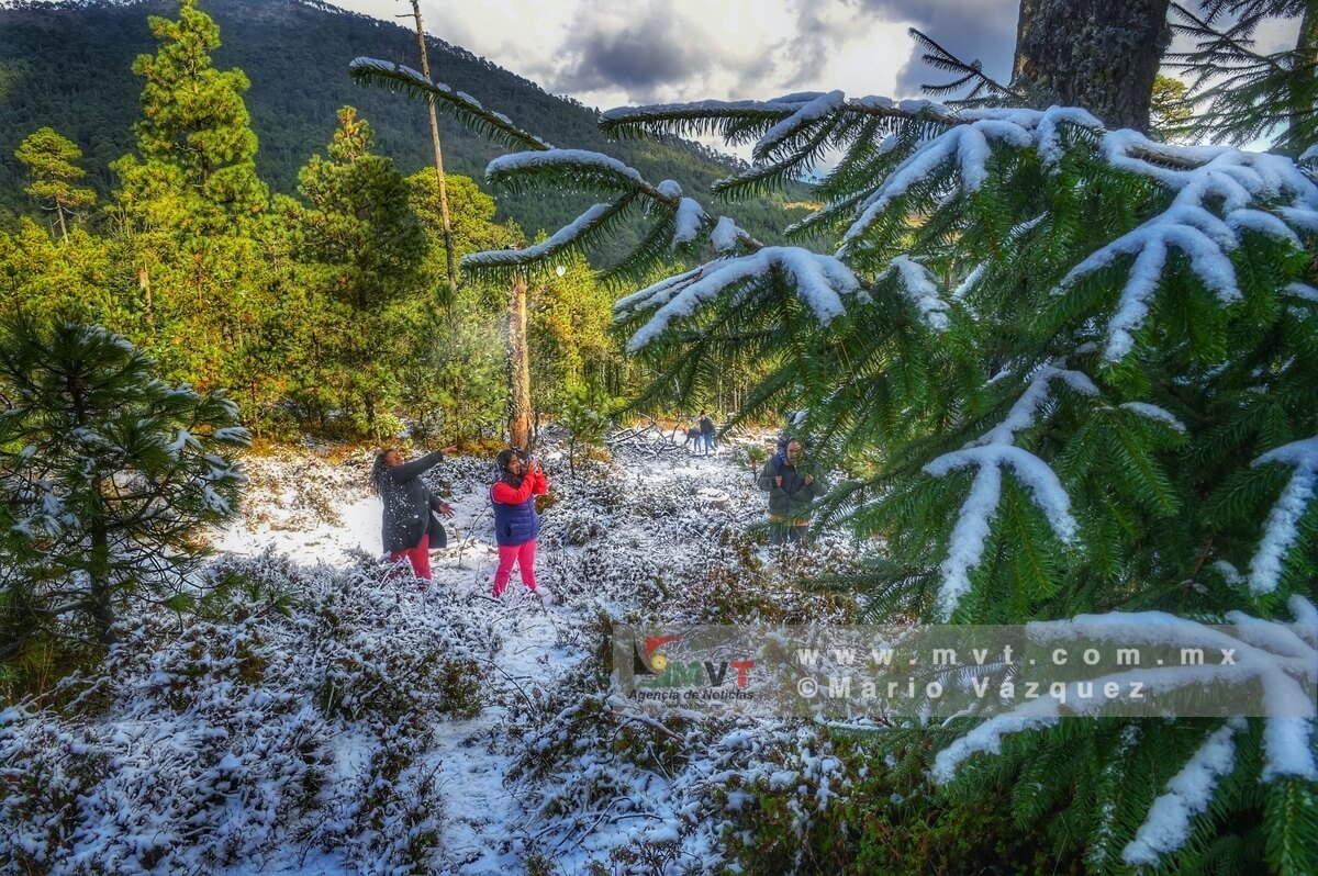 La nieve regala paisajes invernales en zonas altas de Temoaya