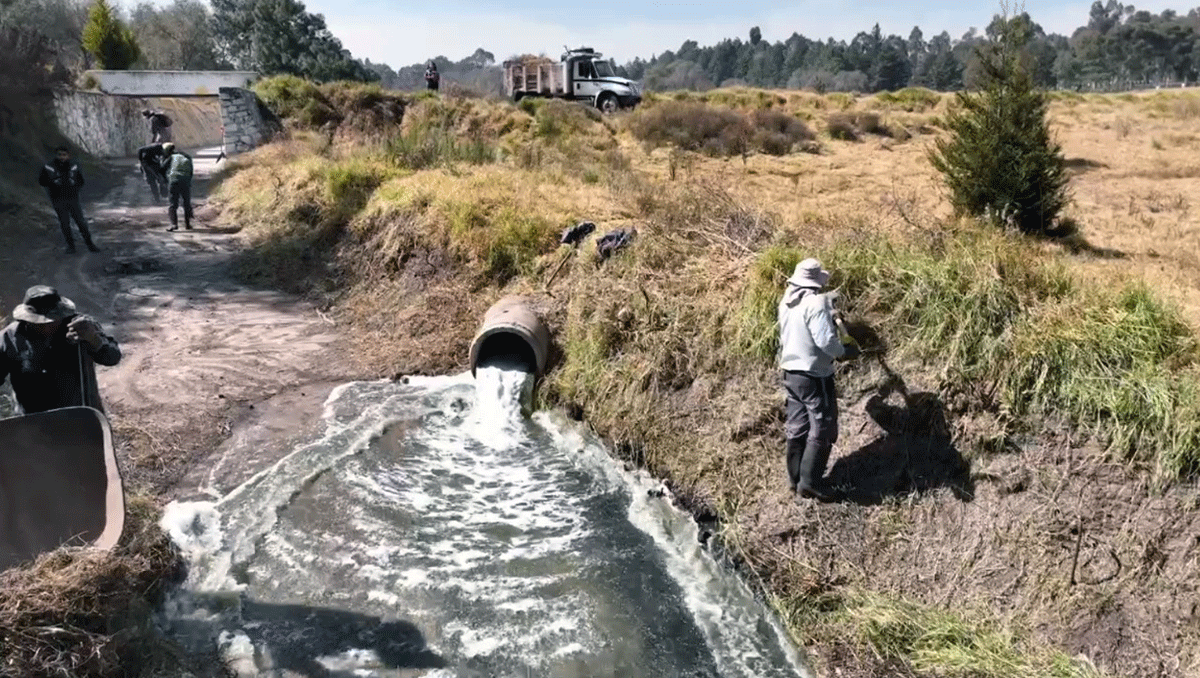 contaminación de lagunas del parque Alameda 2000 de Toluca 