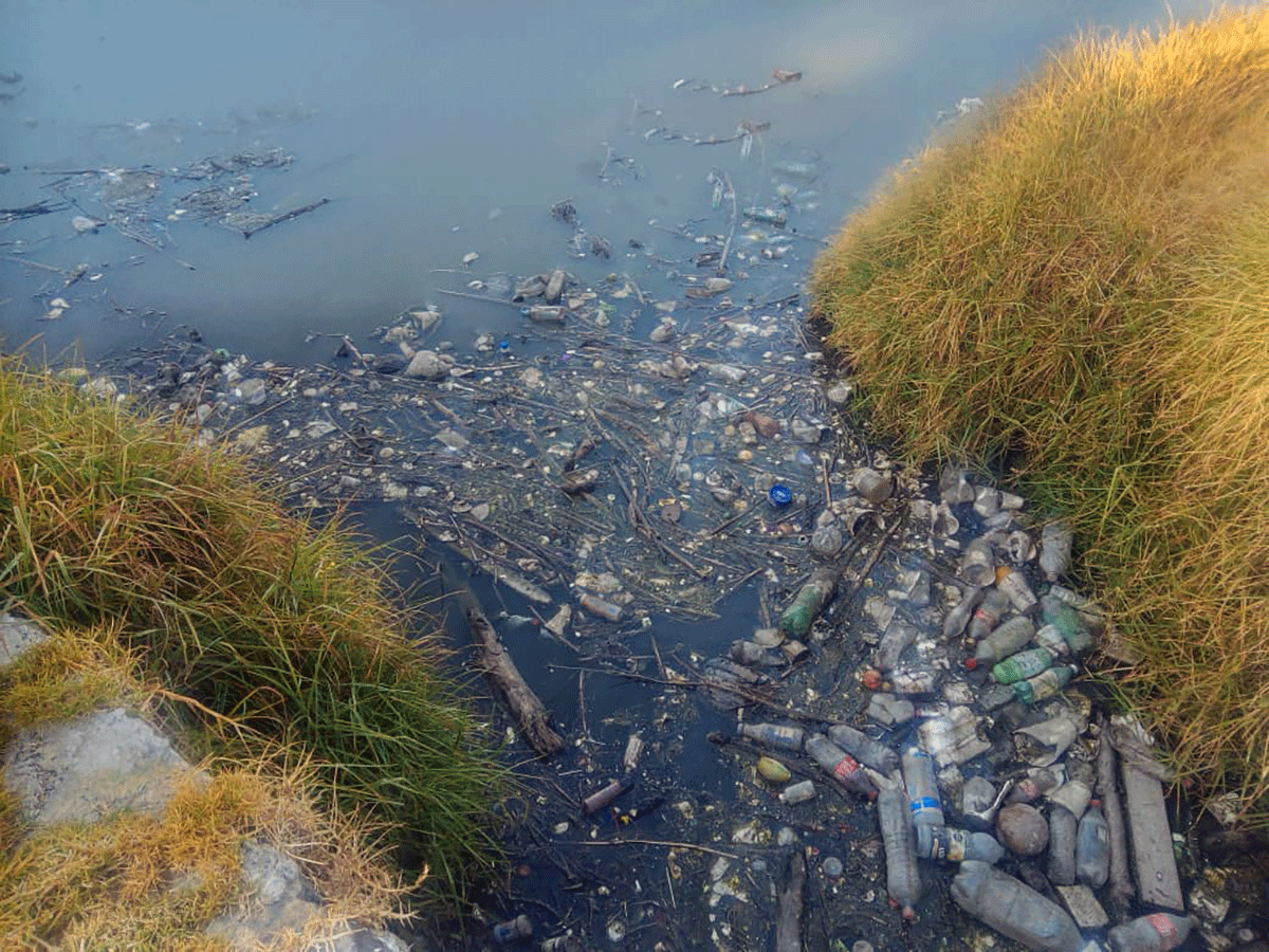 Denuncian grave contaminación en laguna del Parque Alameda 2000