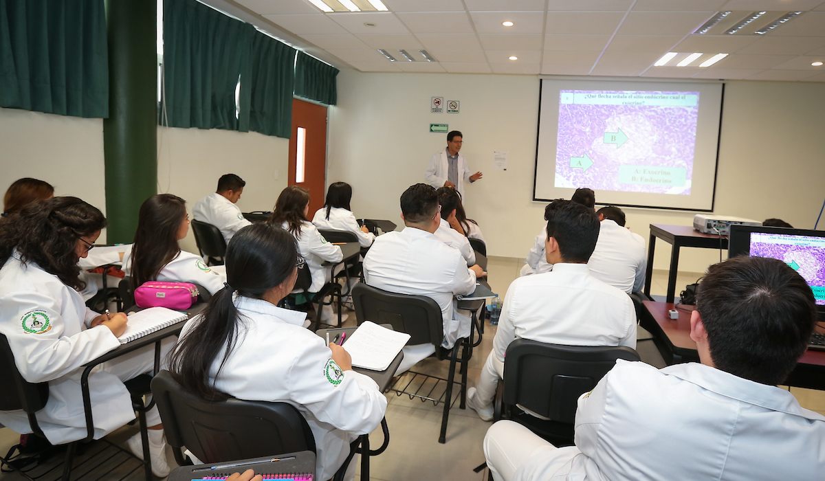 ¿Cuáles son las universidades públicas de Toluca 2023?