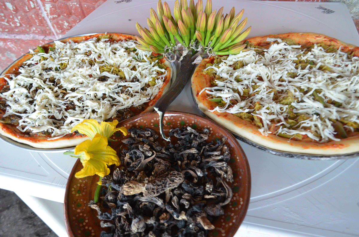 ¿Se te antoja una pizza de flor de maguey o de hongo de monte?