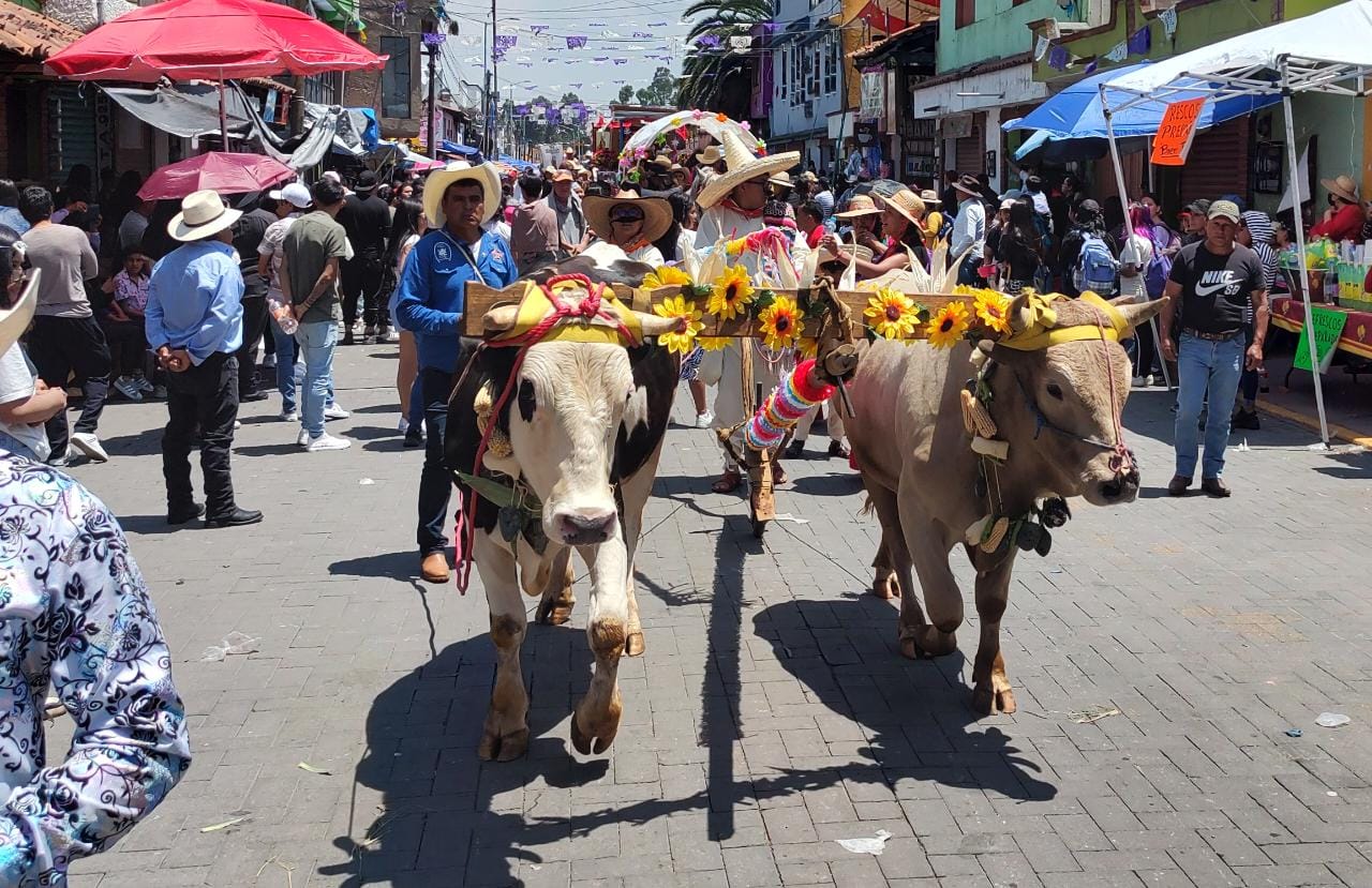 ¿Cómo te fue en el Paseo de la Agricultura 2023 de Metepec?