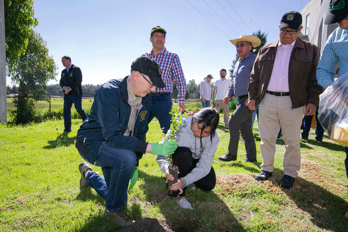 ¿Cuántos árboles plantarán este año los universitarios mexiquenses en la Campaña de Reforestación 2023?