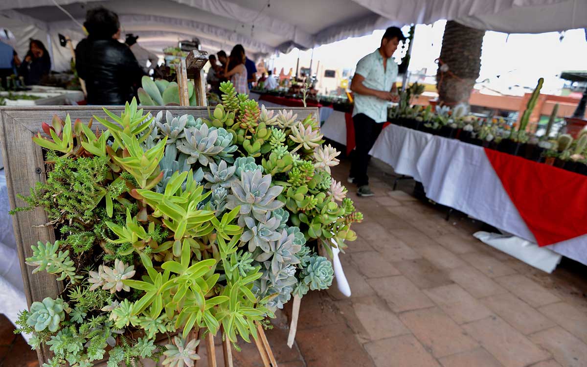 ¡Recibe septiembre con la nueva “Expo Plantera Toluca 2023”!